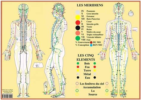 Les Méridiens En Médecine Orientale Et Occidentale Massage Tuina Paris