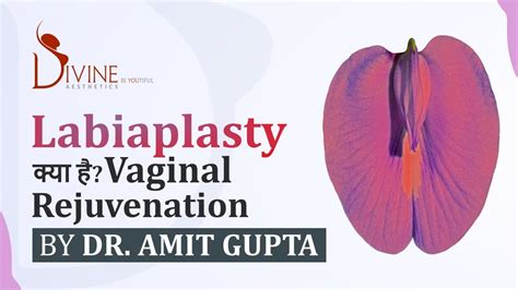What Is Labiaplasty Surgery Vaginal Rejuvenation By Dr Amit Gupta Youtube