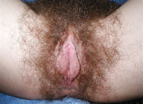 Amateur Monster Hairy Pussy Nudes Tumblr Hairypussyfetish Com
