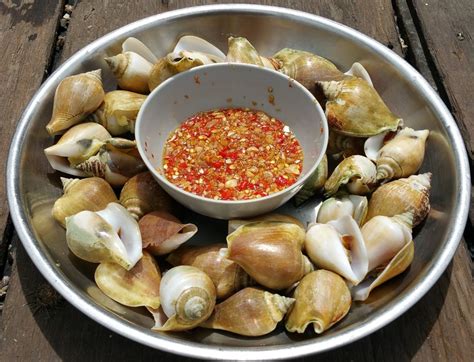 Kepulauan riau merupakan salah satu tempat yang menjaga penuh keelokan serta keasrian dari berbagai segi sudut pandang. 5 Makanan Khas Kepulauan Riau yang Terkenal Unik, Mau?