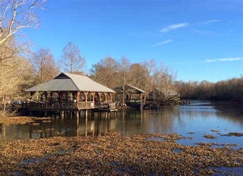 Youll Love The Cabins At Lake Fausse Pointe State Park In Louisiana