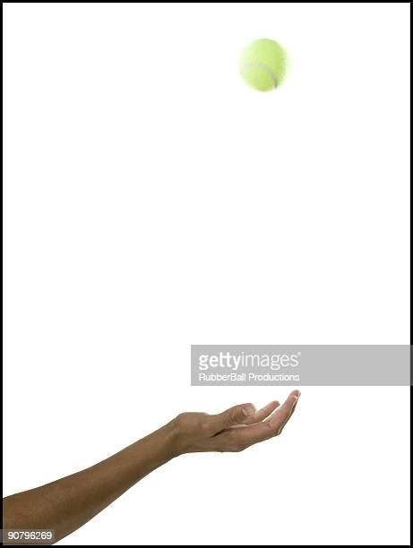 Woman Hand Holding Tennis Ball Photos And Premium High Res Pictures