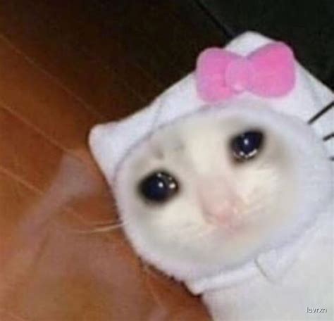 Crying Cat Meme Hello Kitty