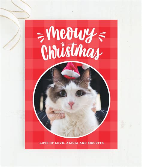 Meowy Christmas Christmas Cards Plaid Christmas Card Custom