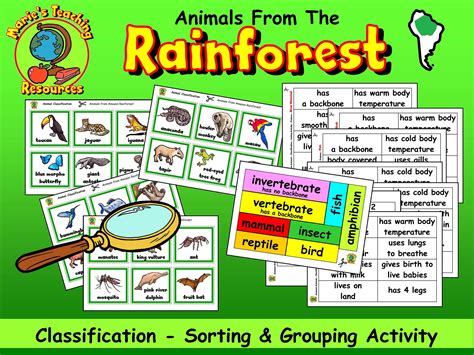 ITEM DETAILS The set includes teaching suggestions, activity set