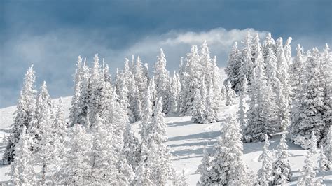 Download Wallpaper 3840x2160 Trees Snow Snowy Winter Sky Elevation