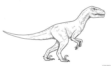 Velociraptor Draw Line Art Illustrations