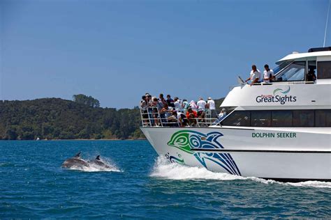 Bay Of Islands Day Tour With Dolphin Watching Cruise In Auckland My