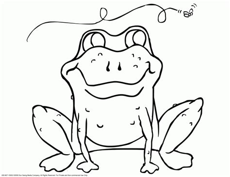 Free Tree Frog Coloring Pages Download Free Tree Frog Coloring Pages