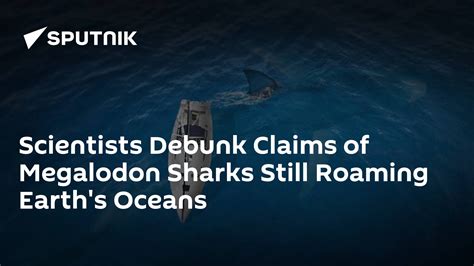Scientists Debunk Claims of Megalodon Sharks Still Roaming Earth's Oceans