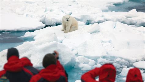 9 Of The Best Arctic Expedition Cruises