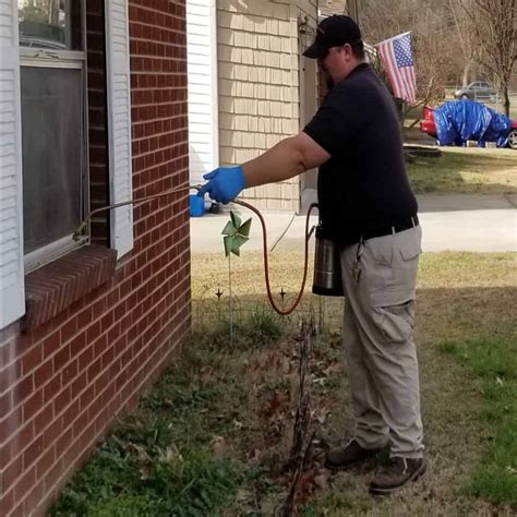We treat for a range of pests including Exterminator Vs Pest Control - Phoenix Pest Control