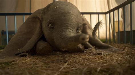 New Dumbo Trailer Shows More Of Upcoming Film Chip And Company