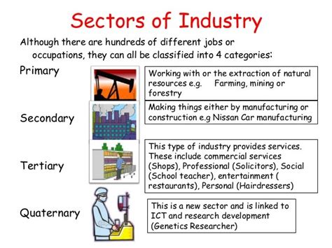 Identify Economic Sectors Plays Quizizz