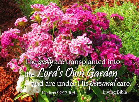 See what the bible says in these 36 bible verses on living simply. Free Stock Photo 16909 Transplanted in God's Own Garden ...