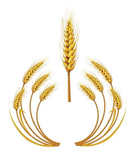 Free Wheat Vector Png Download Free Wheat Vector Png Png Images Free Cliparts On Clipart Library