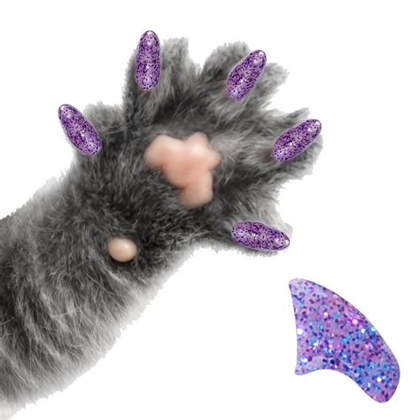 Pretty Claws 40 Piece Soft Nail Caps For Cat Paws Amethyst Purple