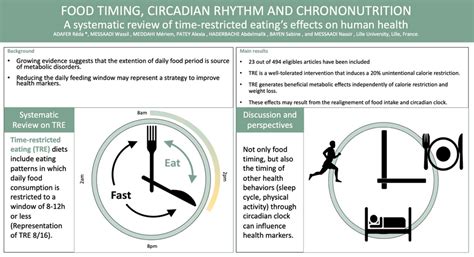 Sync Your Circadian Rhythms And Time Restricted Feeding To Optimize