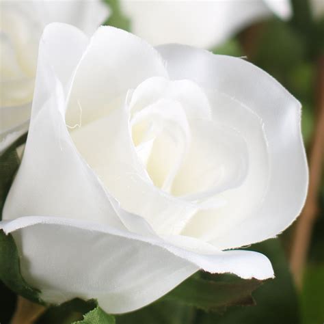 Dozen White Artificial Long Stem Roses New Items