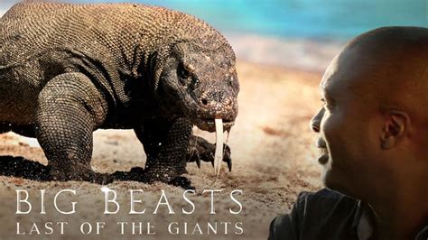 Big Beasts Last Of The Giants Tv Serier Online