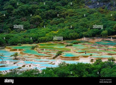 The Turquoise Color Pools In Huanglong Valley In Sichuan Province