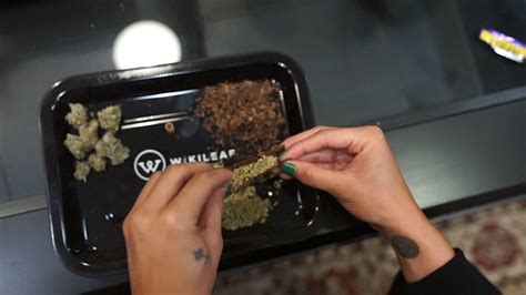 How To Roll A Blunt An Easy Guide For Beginners Wikileaf