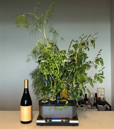 Recharge has specially selected lab grown beneficial soil microbes in epic. The AeroGarden Harvest is a countertop planter that doesn ...