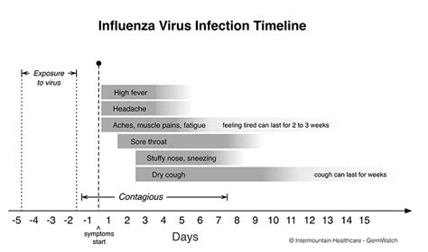 Influenza Seasonal Flu Intermountain Healthcare