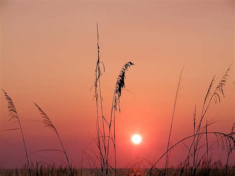 Sunset In Tall Grass Photograph By Bill Cannon Fine Art America