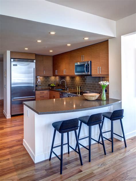 Best Small Modern Kitchen Design Ideas And Remodel Pictures Houzz