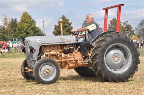 Experience the wide range of benefits these massey ferguson fe35 provide. DLM Hohenheim - Ferguson TE-D und FE 35