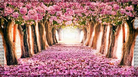 Hello Spring Wallpaper Cute Wallpapers 2023