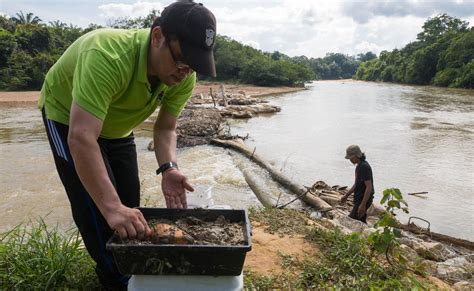 The sea of teluk bahang is said to be contaminated by heavy metals while the sea at the sungai tengah river is black, causing the fishermen to have problems with about 10 years. Bauxite in Malaysia: The environmental cost of mining ...