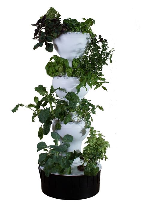6 Best Hydroponic Systems And Supplies In 2018
