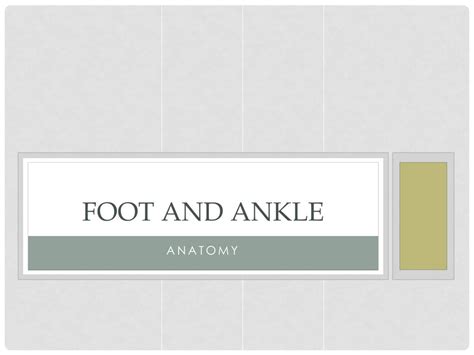 Ppt Foot And Ankle Powerpoint Presentation Free Download Id3830498