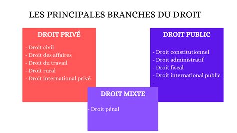 Droit Privé Et Droit Public Les Différentes Branches Du Droit L école Jurixio