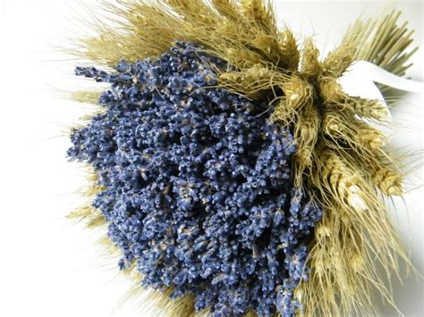 Our dried flowers are included in single bunches by variety, in. Dried flowers diaries July 2014 | Dried Flower Crafts