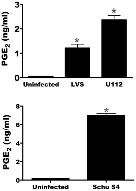 It is produced by a. U112 and Schu S4 induces the synthesis of PGE2 from bone ...