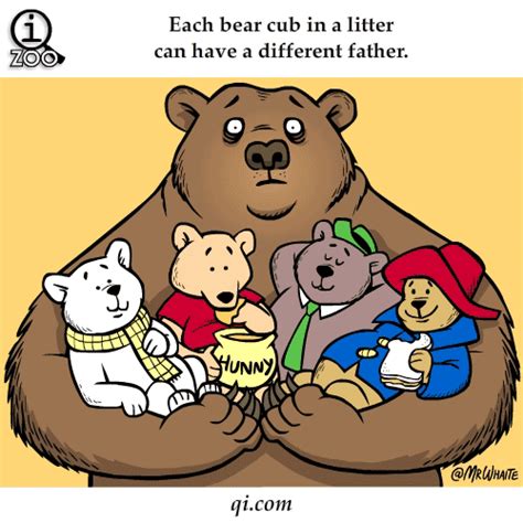 Each Bear Cub In A Litter Can Have A Different Father Crossover
