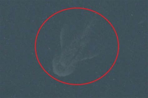 Top 10 Mysterious Deep Sea Creatures Caught On Camera