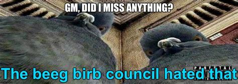 Image Tagged In The Beeg Birb Council Hated That Imgflip