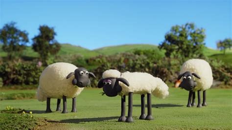 New Shaun The Sheep Full Episodes Shaun The Sheep Cartoons Best New