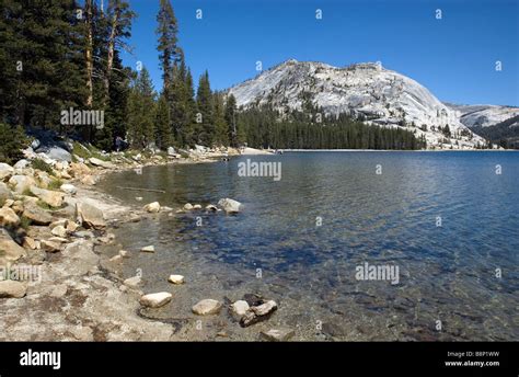Tenaya Lake Tioga Pass Yosemite Valley Stock Photo Alamy