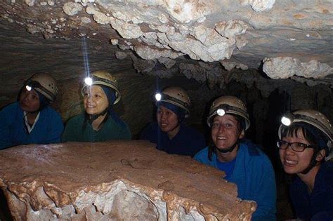 Aat Kings Blue Mountains And Jenolan Caves Tours J32