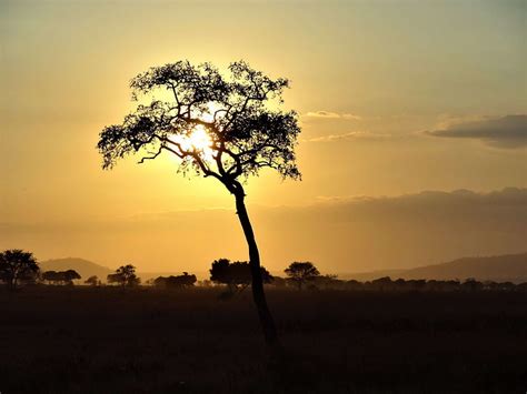 Abendstimmung Africa Atmospheric Evening Sky Landscape Sunset Hd