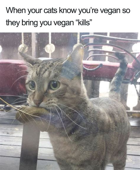 39 Vegan Memes For Meat Eaters 