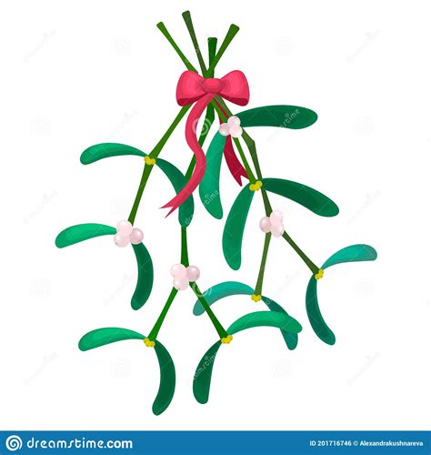 Mistletoe With Red Bow Isolated On White Background Stock Illustration