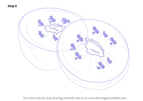 Signup for free weekly drawing tutorials. Learn How to Draw Kiwi Fruit (Fruits) Step by Step ...