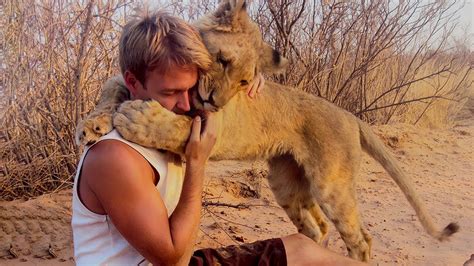 育児放棄され餓死寸前の子ライオンを救った男性。12年後、思いもよらないことが起こった【感動】 Youtube