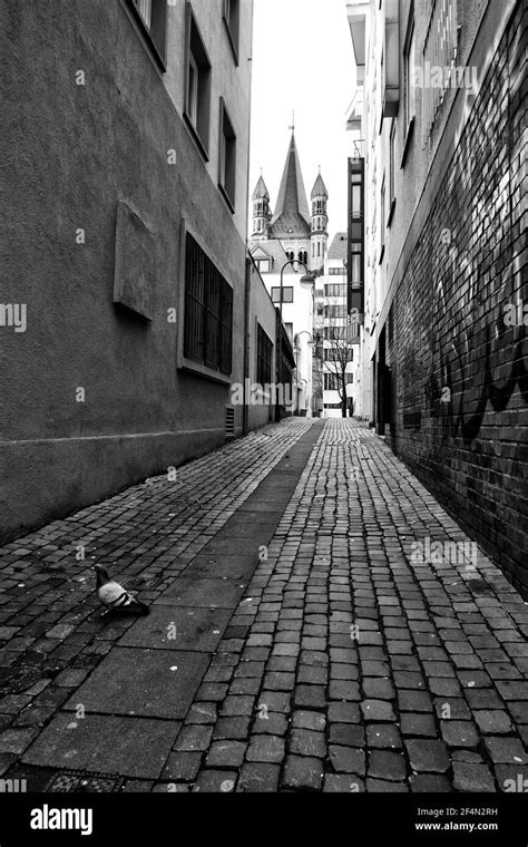 Street Scenery In Cologne Germany Stock Photo Alamy